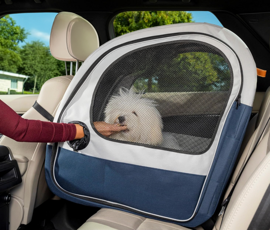 PetSafe Happy Ride